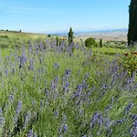 Le Rogheta Farmház Campiglia dʼOrcia