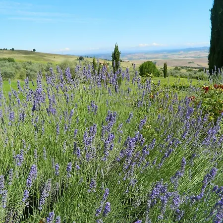 Le Rogheta Alojamento de Turismo Rural Campiglia dʼOrcia