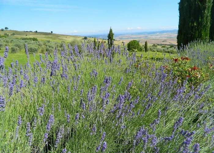 Le Rogheta 农家乐 Campiglia dʼOrcia
